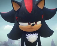 Shadow The Hedgehog