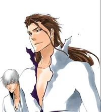 Aizen and Gin