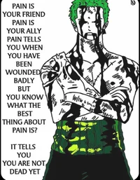 Zoro r