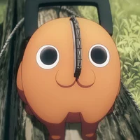Pochita