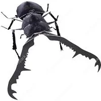 stag beetle