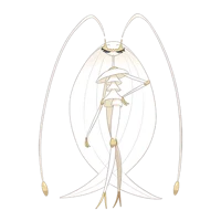 pheromosa 
