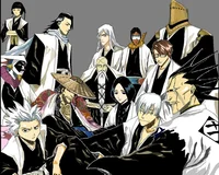Bleach Captains 