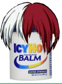 Shoto Totoroki 