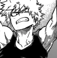 Katsuki Bakugou bf