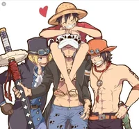 Ace Sabo Law e Luffy