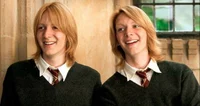Weasley twins