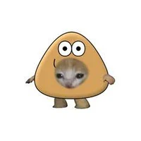 Un Michi Pou