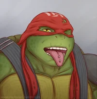 Raphael hamato 