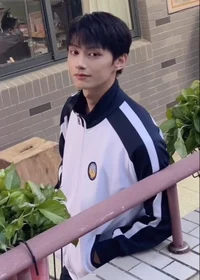 Wen Junhui