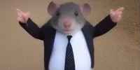Restaurant mouse