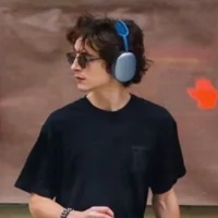 regulus black