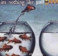 Im nothing like yall