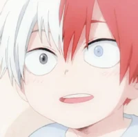 Kid todoroki 