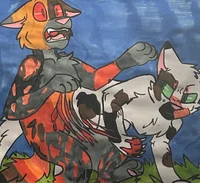 Thorn clawandAceclaw