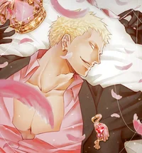 Husband Doflamingo 