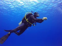 Scuba Diver