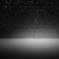 -Echo in the mirror-