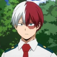 Shoto Todoroki