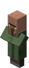 Villager Nitwit