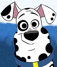Doug Dalmatian
