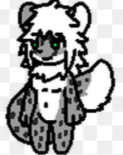 Snow Leopard