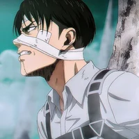 Levi Ackerman