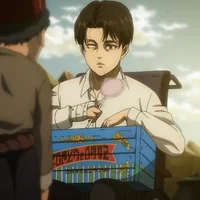 Post war Levi