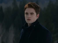 Edward Twilight 