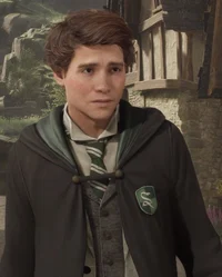 015_Sebastian Sallow