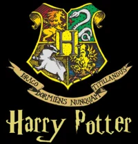 Hogwarts RP