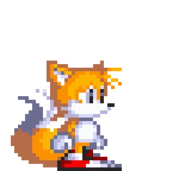Tails The Fox