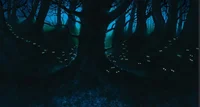 Darkforest