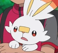 Scorbunny - PMGR