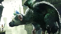 Trico