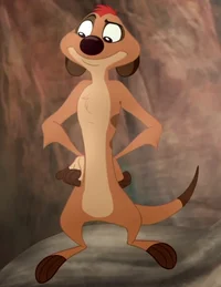 Timon