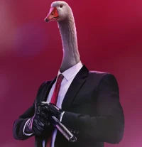 Goose Assassin Sim