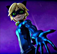 Cat Noir 