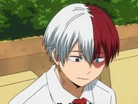 Shoto Todoroki