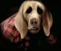 Bailey the human dog