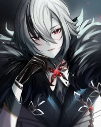 Bodyguard Arlecchino