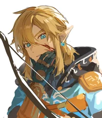 Link-botw