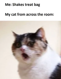 Ballora fitness -au-