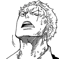 OP-Roronoa Zoro