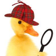 Detective Quackerton