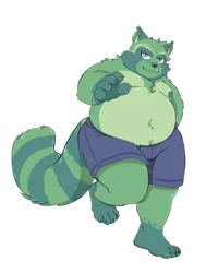 Fat raccoon 