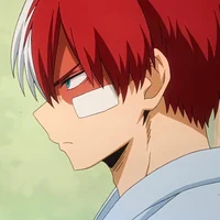 Shoto todoroki 