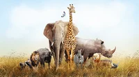 African Savannah RPG