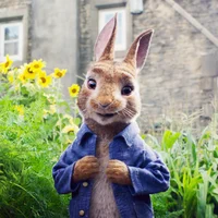 Peter Rabbit