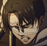 Levi Ackerman 